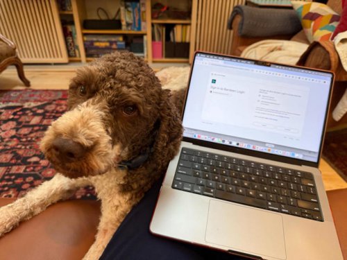 Meet My New Boss. He&rsquo;s Such a Good Dog.