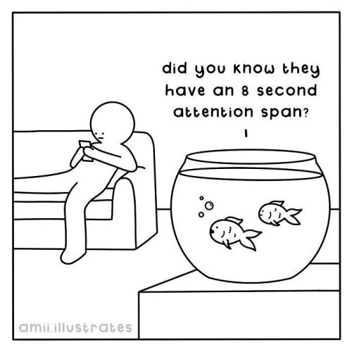 My 11 Silly Animal Comics That Might Lift Your Spirits