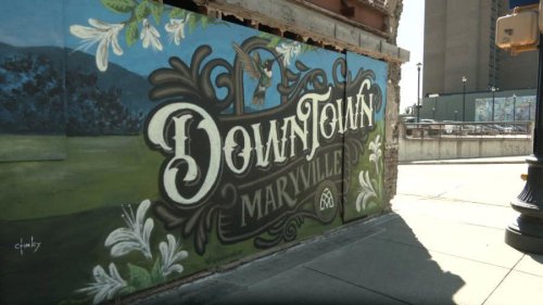 From book stories to boutiques: Find out what downtown Maryville has to offer