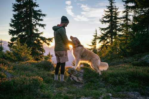 These 8 Dog Breeds Make the Best Hiking Companions