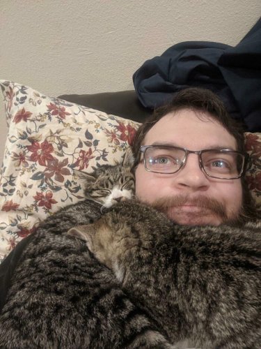 Top 49+ Pics That Are Proof Two Cats Are Better Than One