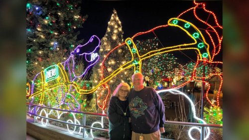 Local light displays nominated for USA TODAY&rsquo;s best awards: How to vote