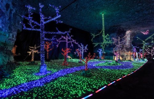 Explore holiday lights in Louisville with our map of homes, businesses