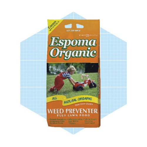 Top 5+ Natural Weed Killers That Actually Work