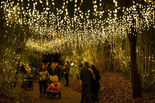 See what's new at Cincinnati Zoo's Festival of Lights this year 👀