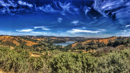 Tucked In California's Bay Area Is A Walkable Suburb With Wineries, Festivals, And Artsy Downtown Vibes