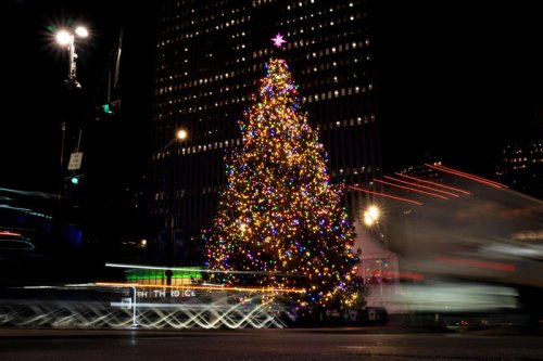 Christmas tree farms in Greater Cincinnati: 13 places to cut your own tree