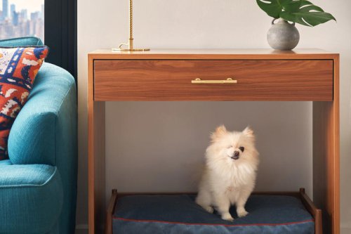 Here&rsquo;s How to Create a Custom Dog Bed You&rsquo;ll Actually Want to Look At