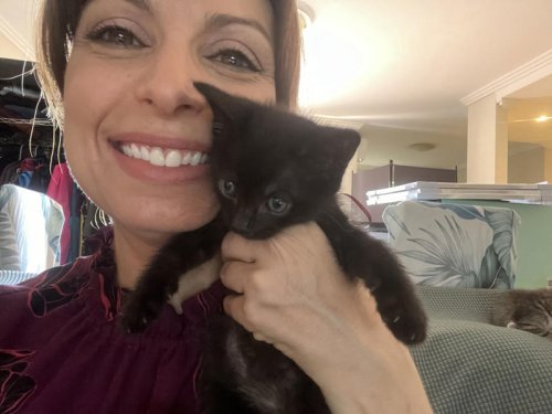 'Fun, heartbreaking and an extraordinary amount of work': The complex reality of fostering kittens