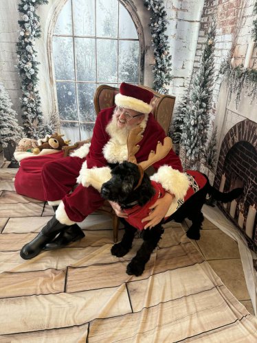 Furry friends meet Santa at McFarland&rsquo;s Winter Wonderland