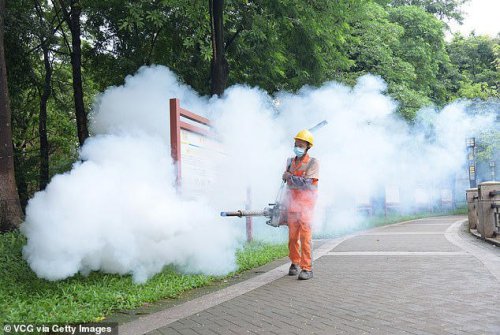 Travel warning for American tourists as outbreak of dangerous tropical virus accelerates