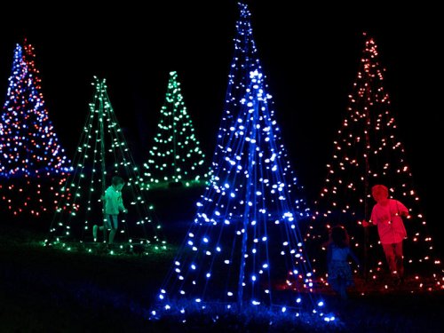 Where to find free Christmas fun around Knoxville this season