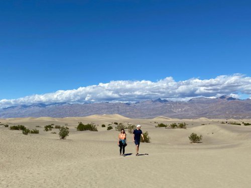 Travelers to Death Valley can discover golden moments, desert life
