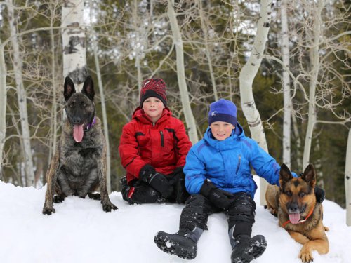 I breed and train dogs that sell for $175,000 each. We place about 20 dogs a year, and it took us a while to be profitable.