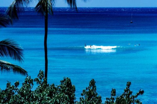 The 10 Best Surfing Spots for Beginners