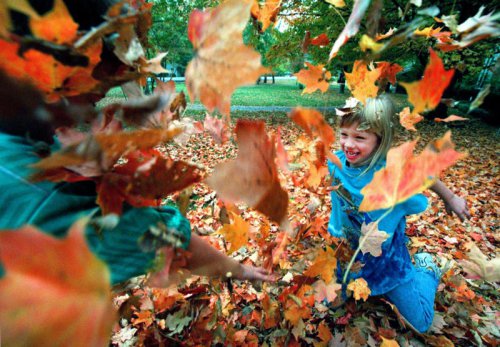 Best places to live in Tennessee? This 'City by the Lake' tops U.S. News &amp; World Report
