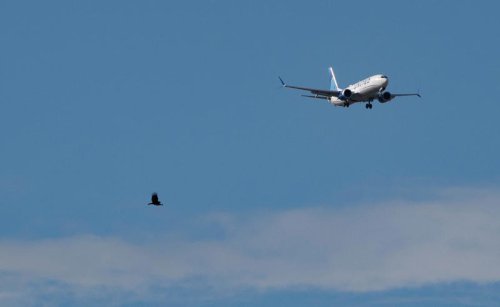 PBIA official: New Mar-a-Lago flight paths affect four times more people