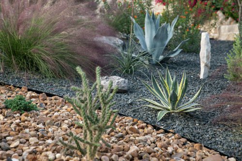 How San Antonio gardeners can help conserve water and build community