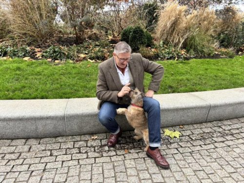 I&rsquo;m trying to fix my middle-aged dog&rsquo;s grumpiness &ndash; this is what works