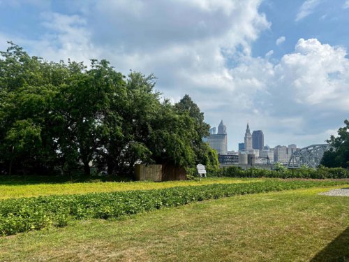 Need a last-minute gift? Cleveland&rsquo;s food scene offers unique options