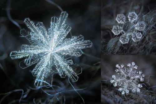 These macro photos of snowflakes reveal nature&rsquo;s most dazzling designs