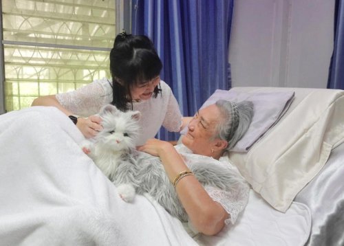 ส่องนวัตกรรม หุ่นยนต์สัตว์เลี้ยงบำบัด ผู้ช่วยฮีลใจผู้สูงอายุยุคดิจิทัล
