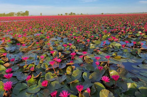 มูเตลูฟีเวอร์, เมืองรองดาวรุ่ง, พลังแฟนด้อม, นักท่องเที่ยวต่างชาติ, พฤติกรรมเน้นประหยัด, แชมป์ตลอดกาล, เครื่องดื่มแห่งปี, 3 เมนูดาวรุ่งพุ่งแรงแห่งปี 2025, Grab เผยที่สุดแห่งปี 2025 สายมูแห่ไป "เทวาลัยพระพิฆเนศ" ด้าน "ส้มตำ" ยืนหนึ่งแชมป์อาหาร