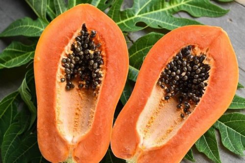 How to grow papaya in a pot at home: A simple balcony gardening guide for fresh fruit