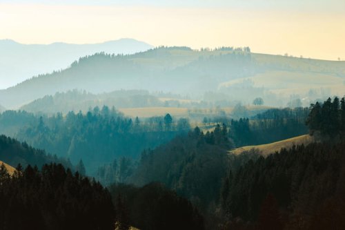 A new side of the Black Forest&mdash;from designer cuckoo clocks to revitalized bathhouses