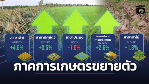 ภาพรวมปี 2568 ภาคการเกษตรขยายตัวร้อยละ 3.3