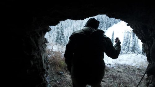 A filmmaker left a camera in a grizzly bear cave for 10 years. Here&rsquo;s what he captured