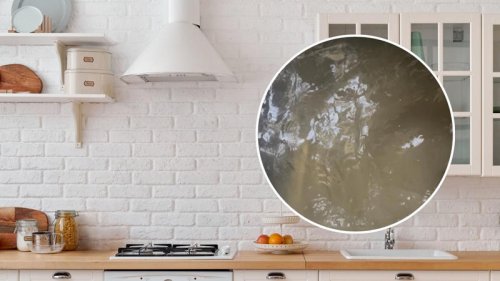 The oven rack cleaning trick people swear by when nothing else works