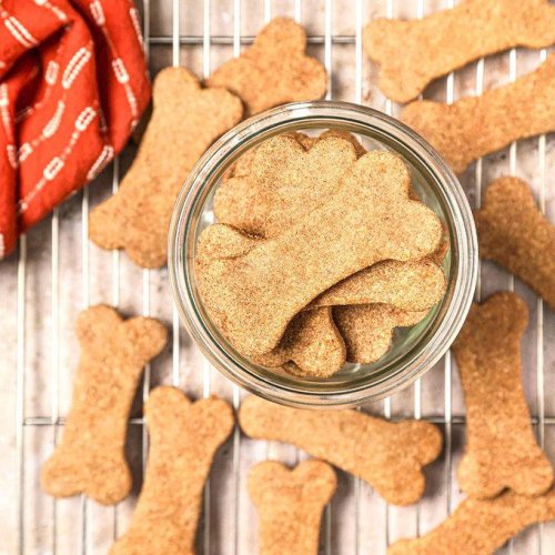 Top 12+ homemade dog treat recipes