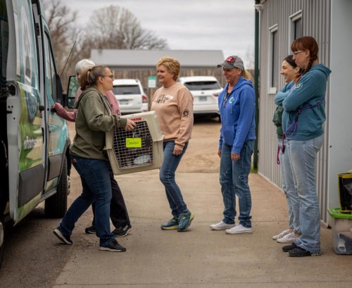 Ruff Start Rescue brings hundreds of dogs, cats from Texas