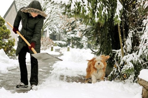 Are you salting your driveway at the wrong time? Here&rsquo;s what to do instead