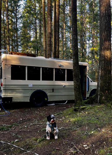 Welcome to my bus: Inside the minimalist lifestyle as home costs soar