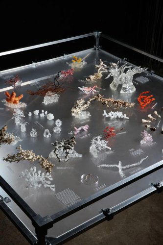 The hidden world of cold-water corals rises to the surface with these glass sculptures that are resurrecting a lost craft