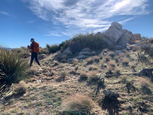 National parks canceled free MLK Day entry. California just made 200 state parks free instead.