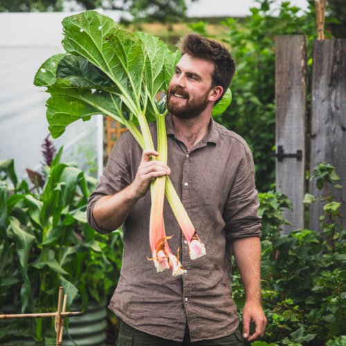 How to sow seeds indoors, according to the experts