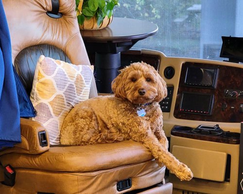 A Gen Xer sold her $370K house to live in an RV. She explains the finances of living and working on the road.