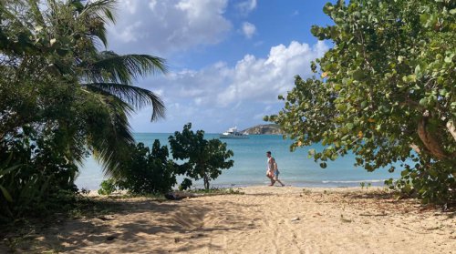 3 days on Vieques, Puerto Rico, where the water glows