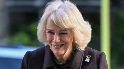 Queen Camilla oozes elegance in &pound;150 zip-up dress &ndash; and it's on sale