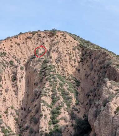 Frantic barks from a distant canyon lead rescuers to 3 lives in need of saving