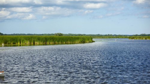Between Chicago and Madison is Illinois' 'Heart of the Chain O' Lakes' village with tasty eats and fishing