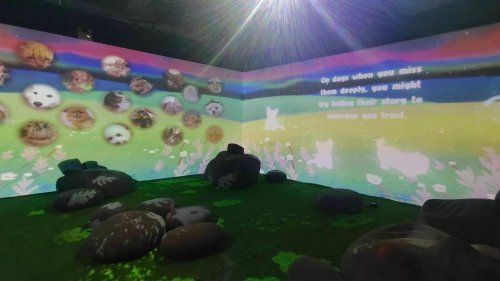 ชวนข้ามสะพานสีรุ้งใน &ldquo;พาใจกลับดาว&rdquo; นิทรรศการฮีลใจ เมื่อการจากลาคือจุดเริ่มต้นของการเติบโต