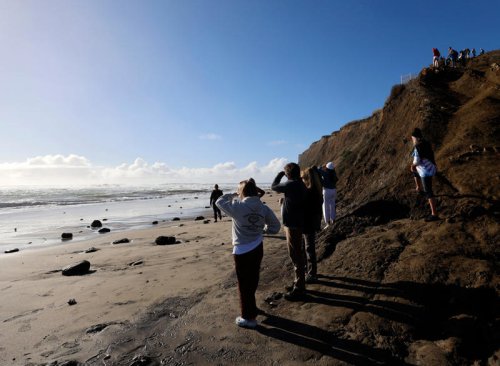 Super Bowl LX isn't in San Francisco exactly. How to plan your trip.