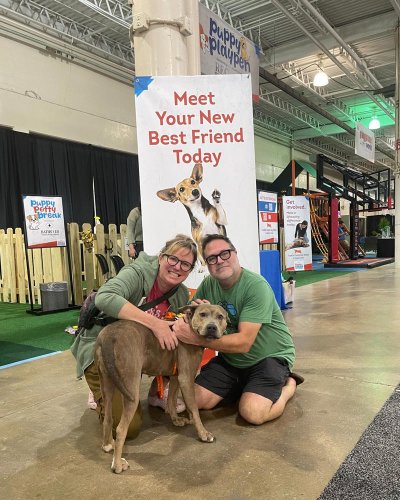 Free dog adoptions and puppy yoga at Central Ohio Home &amp; Garden Show