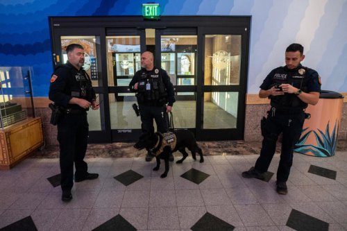 El Paso flights were grounded. Was it drones, a test or a mistake?