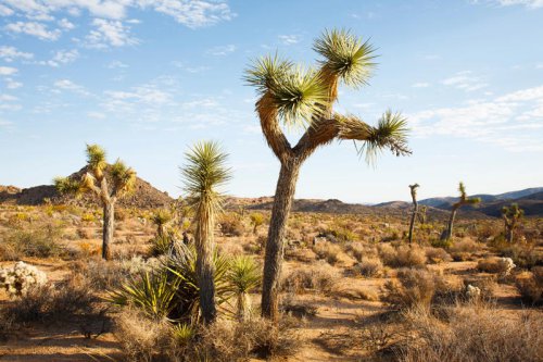 Top 13+ places to visit in California that prove this state is truly golden