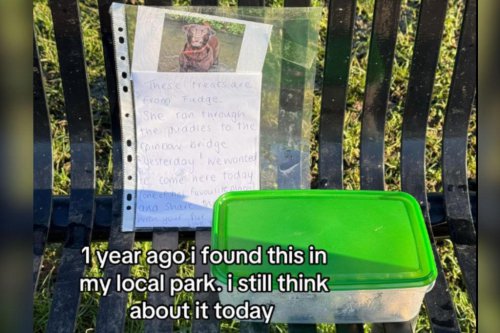 Man finds free dog treats on park bench&mdash;tears at attached note